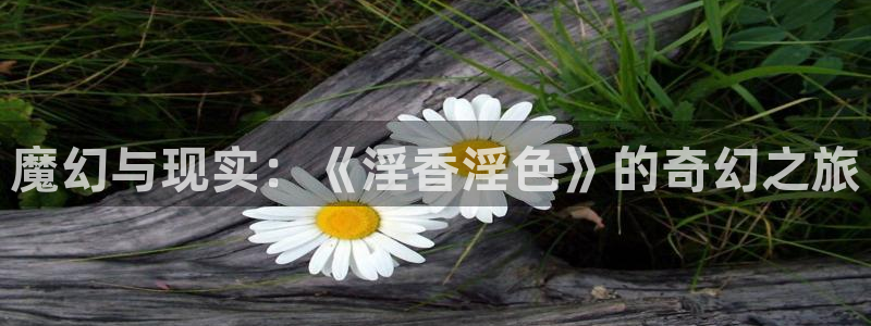 兔兔达达兔达影院