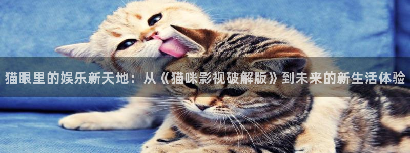 达达兔什么电影