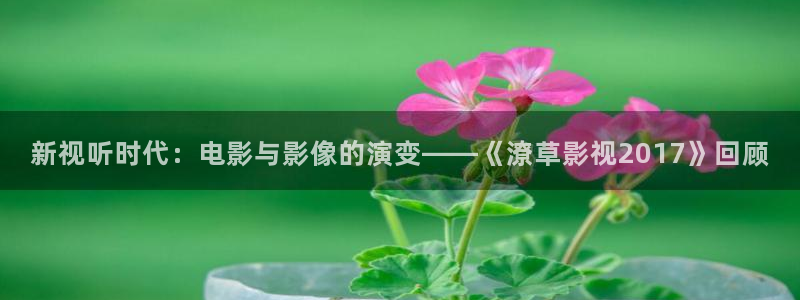 达达兔影院在线观看免费高清